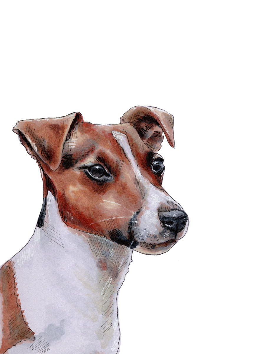 The Jack Russell - Open Edition Paper Print