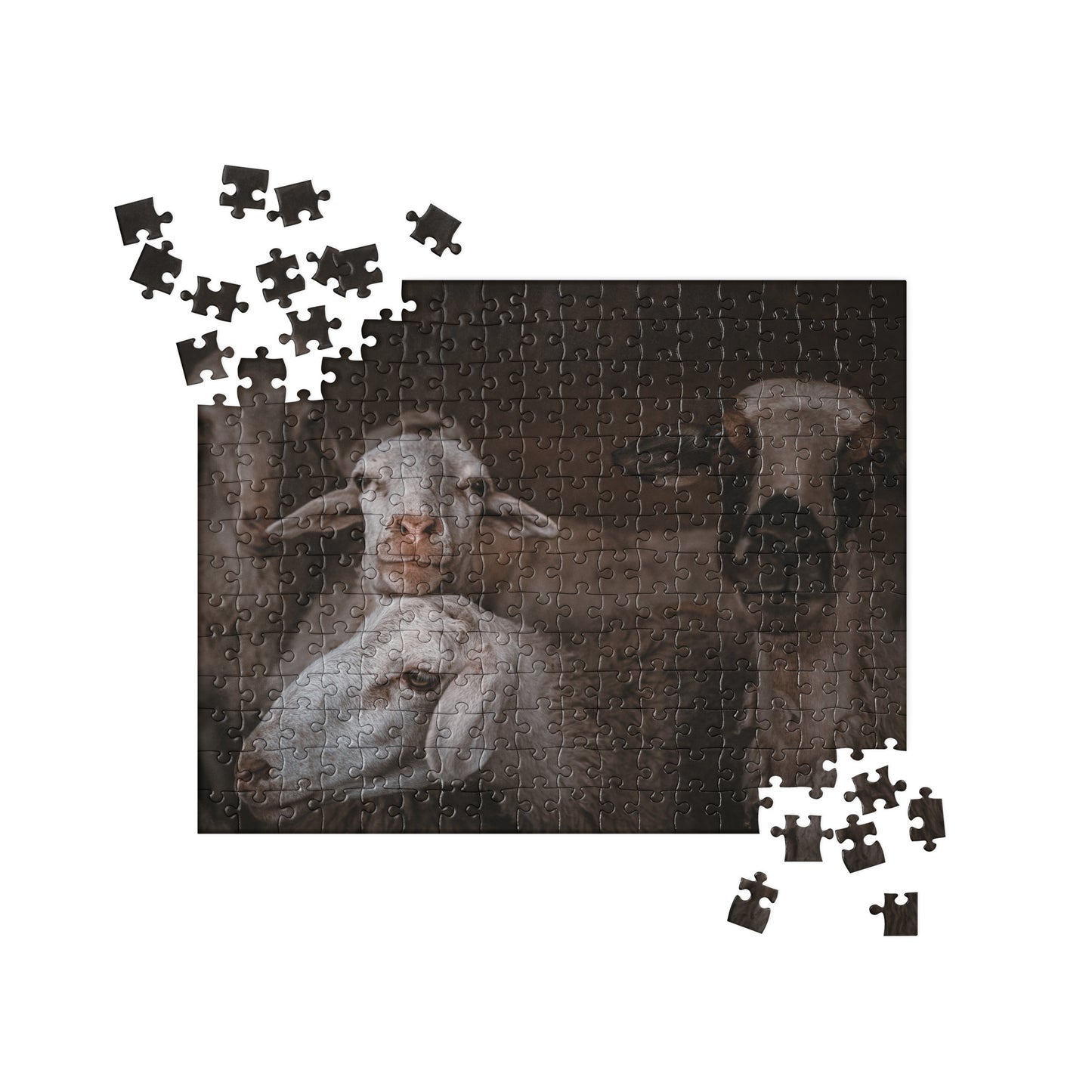 Jigsaw puzzle