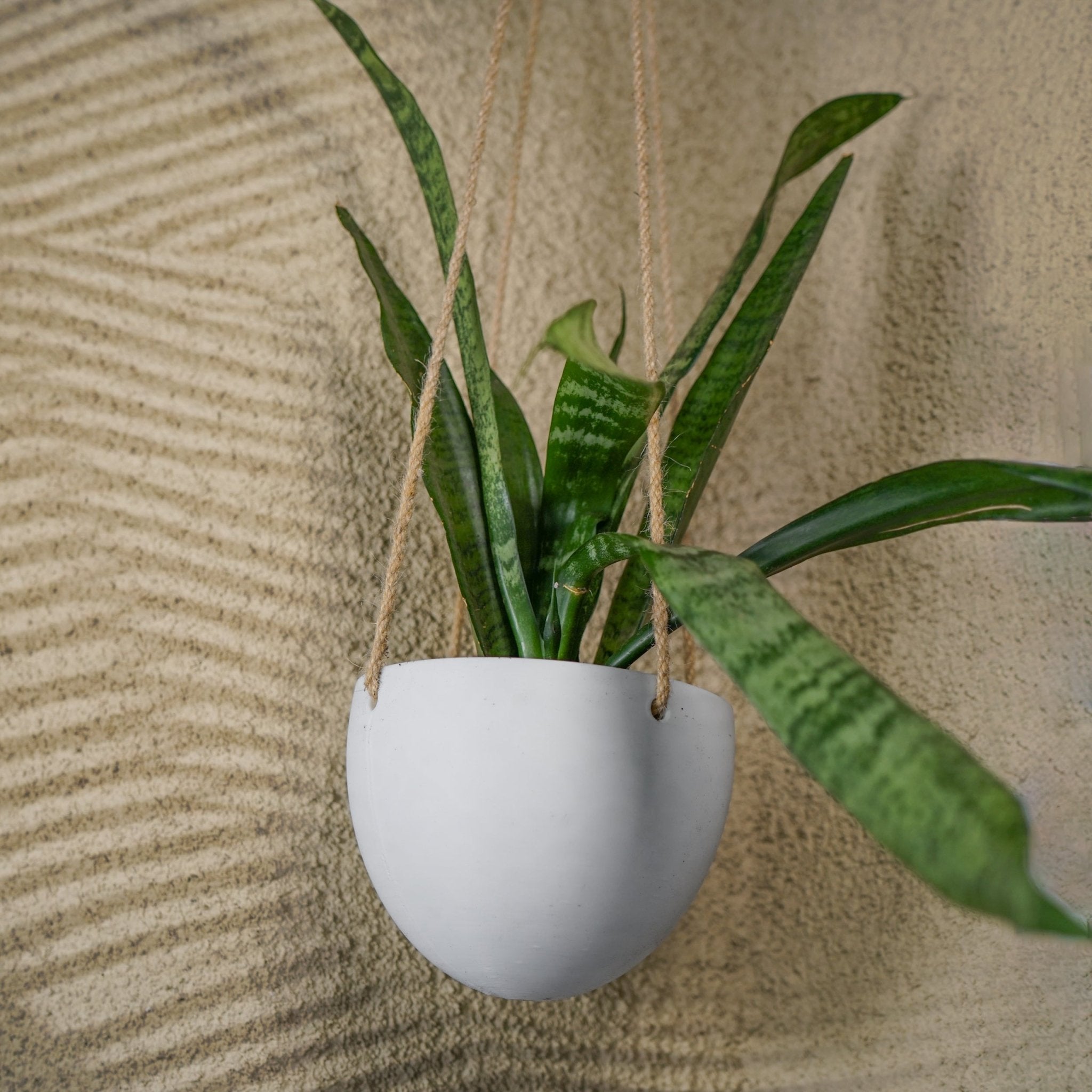 Minimalist Hanging Plant Pot with Drainage