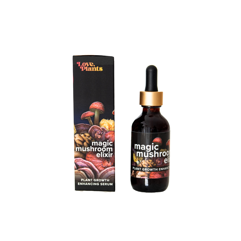 Magic Mushroom Elixir