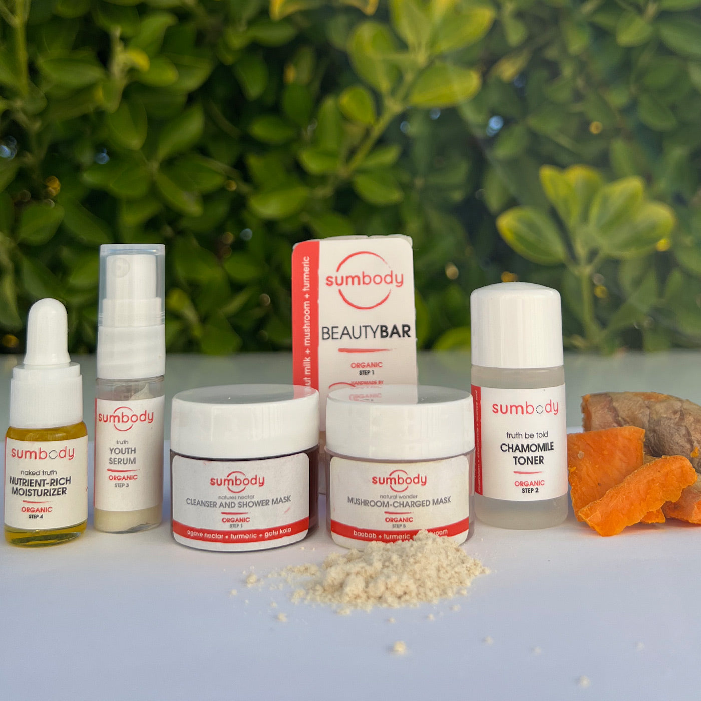 5 Steps to Perfect Skin Organic Mini Kit