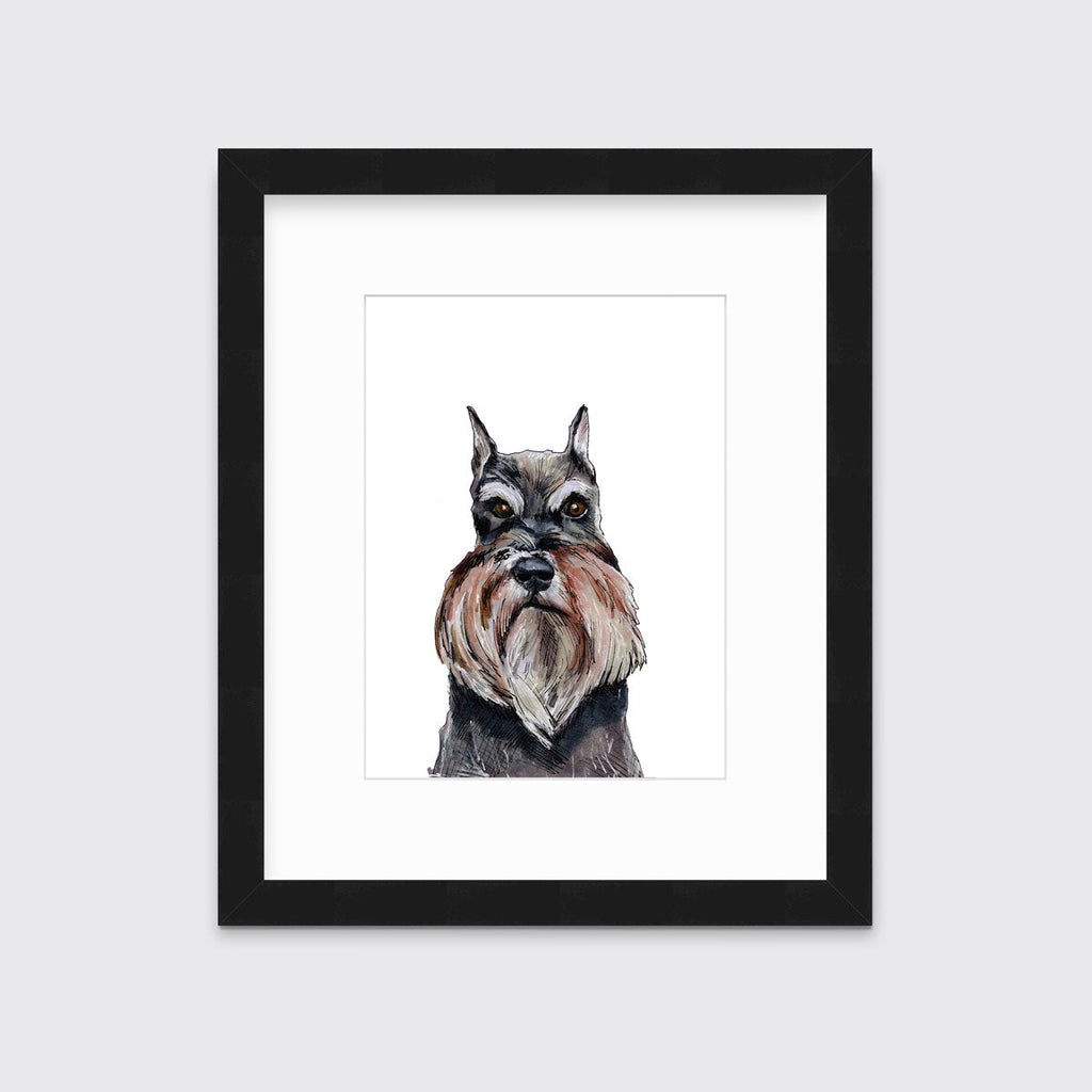 The Schnauzer - Open Edition Paper Print