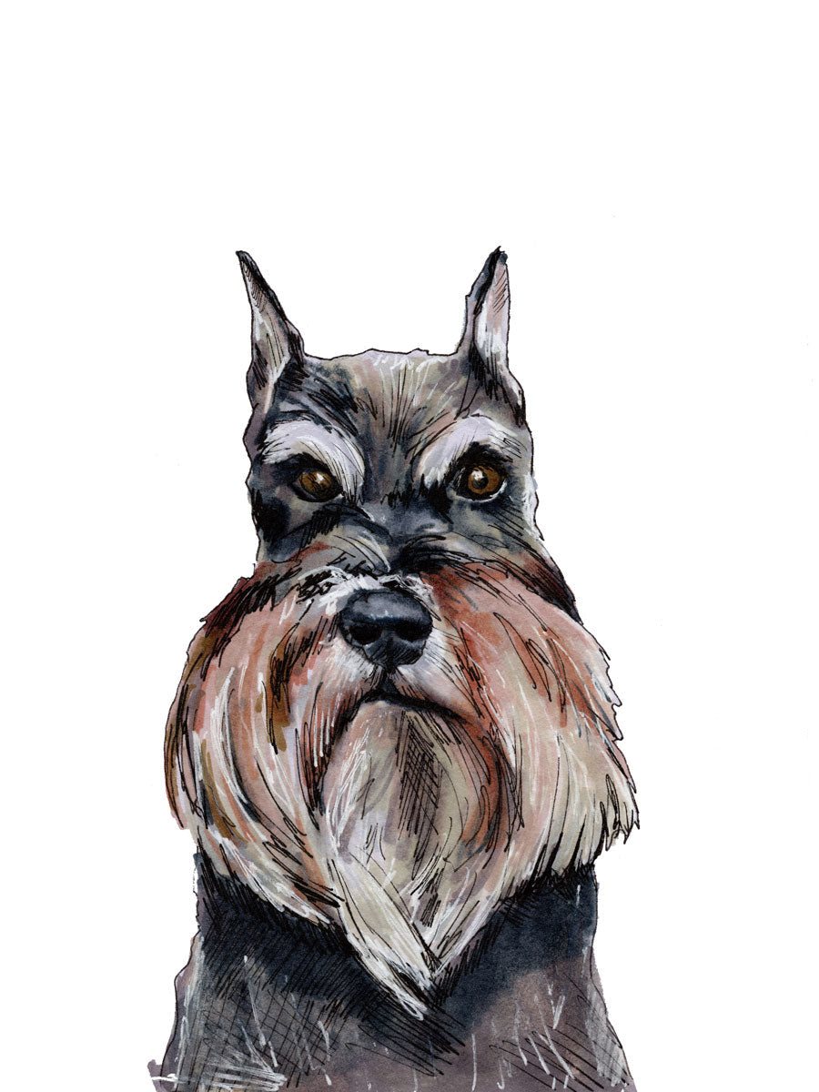 The Schnauzer - Open Edition Paper Print
