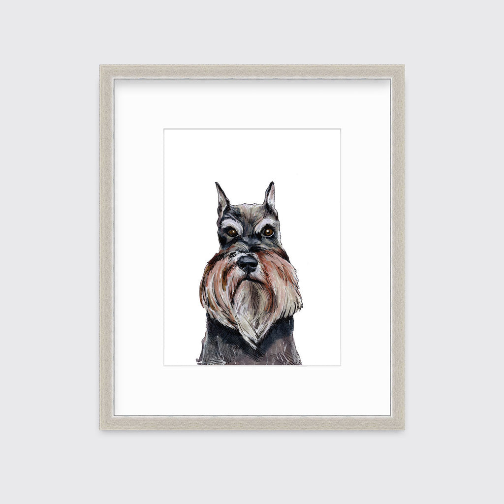The Schnauzer - Open Edition Paper Print