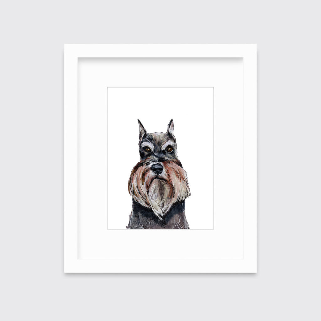 The Schnauzer - Open Edition Paper Print