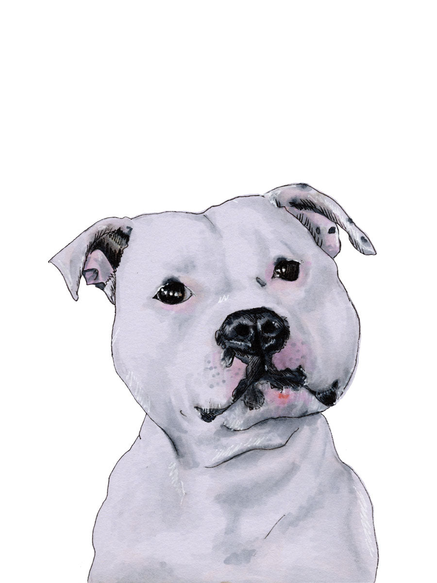 The Staffy - Open Edition Paper Print