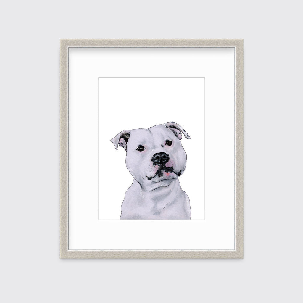 The Staffy - Open Edition Paper Print