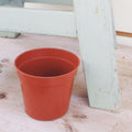 2" Growing Pot