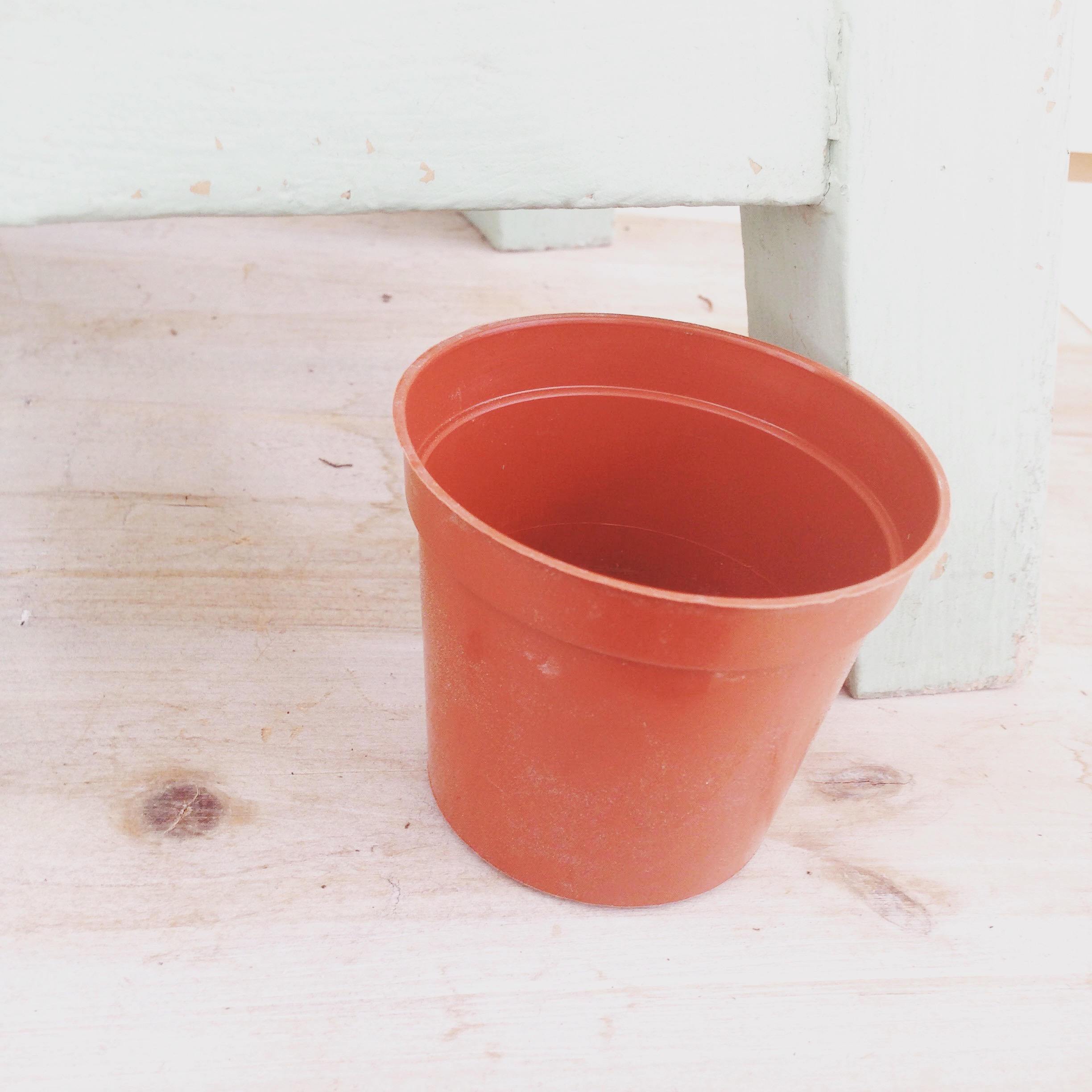 2" Growing Pot