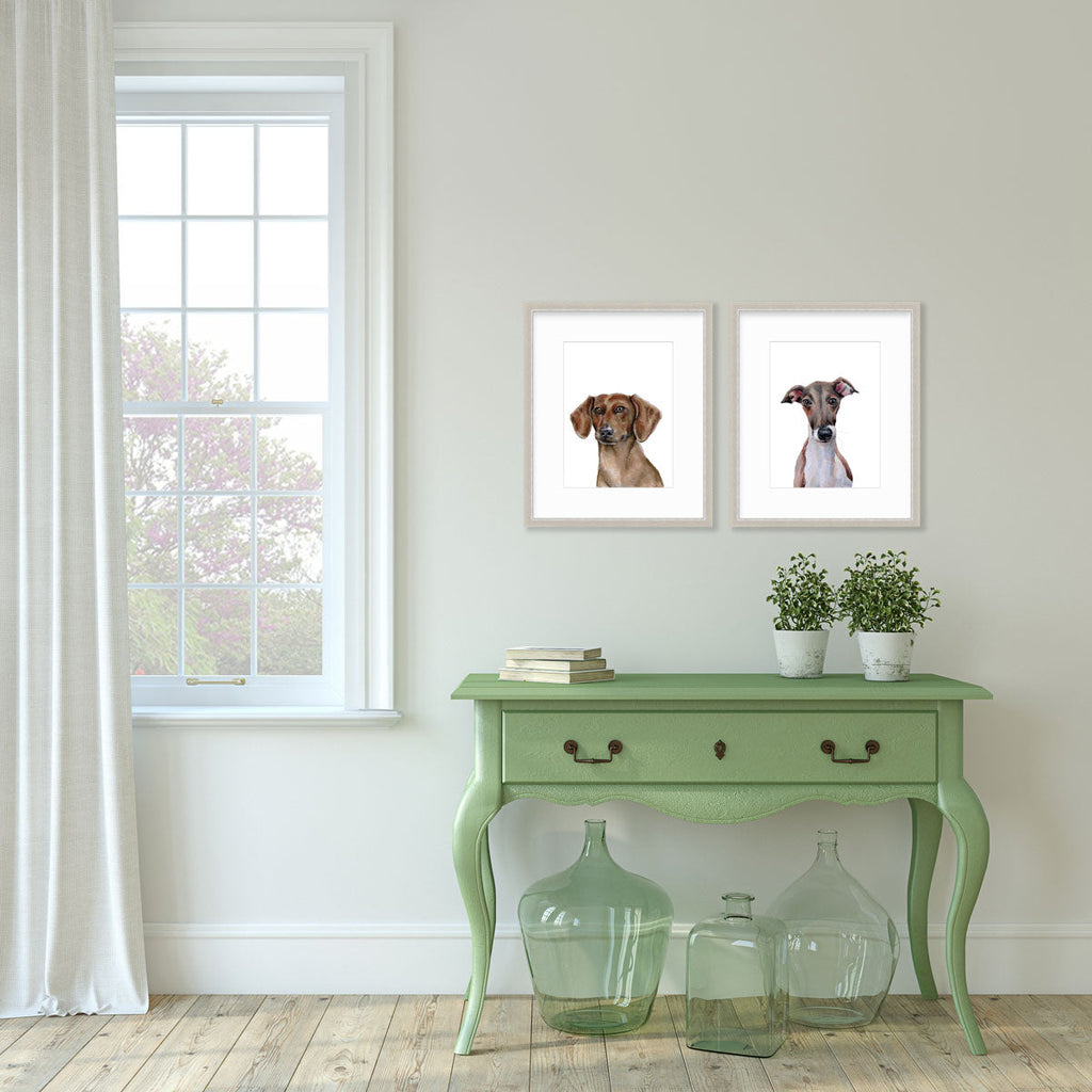 The Dachshund - Open Edition Paper Print