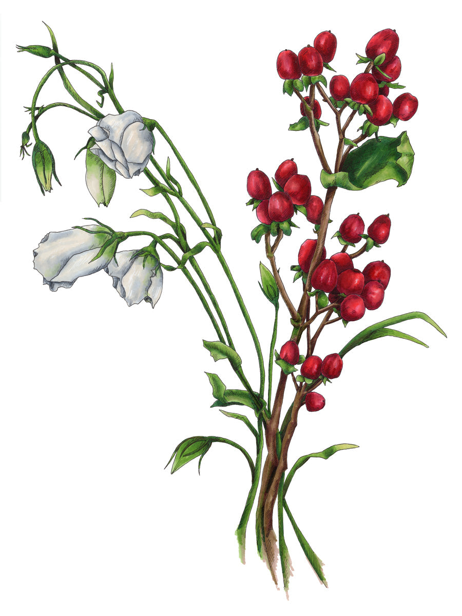 Winter Weather - Open Edition Paper Print