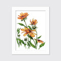 Yellow - Open Edition Paper Print